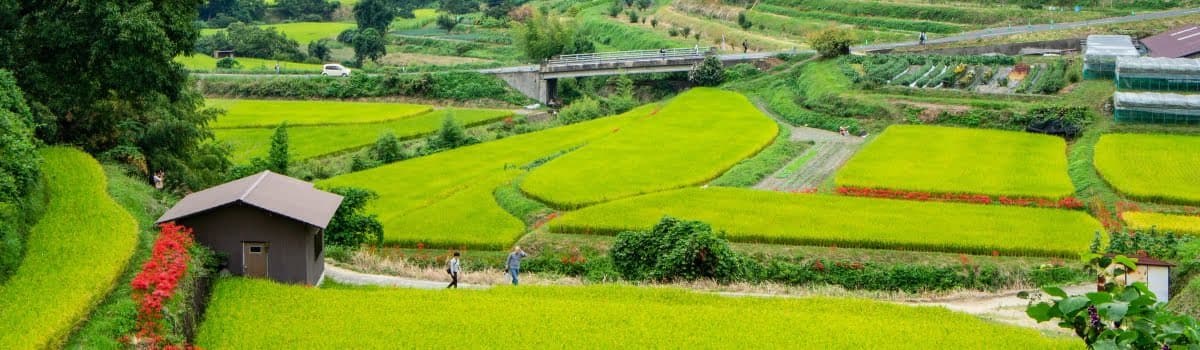 Hakone Lake Ashi Boat & Walk 2