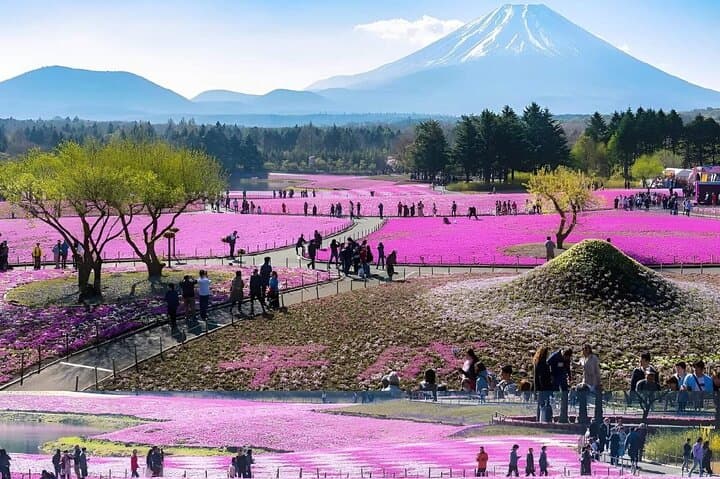 Osaka Night City Highlights Tour 3